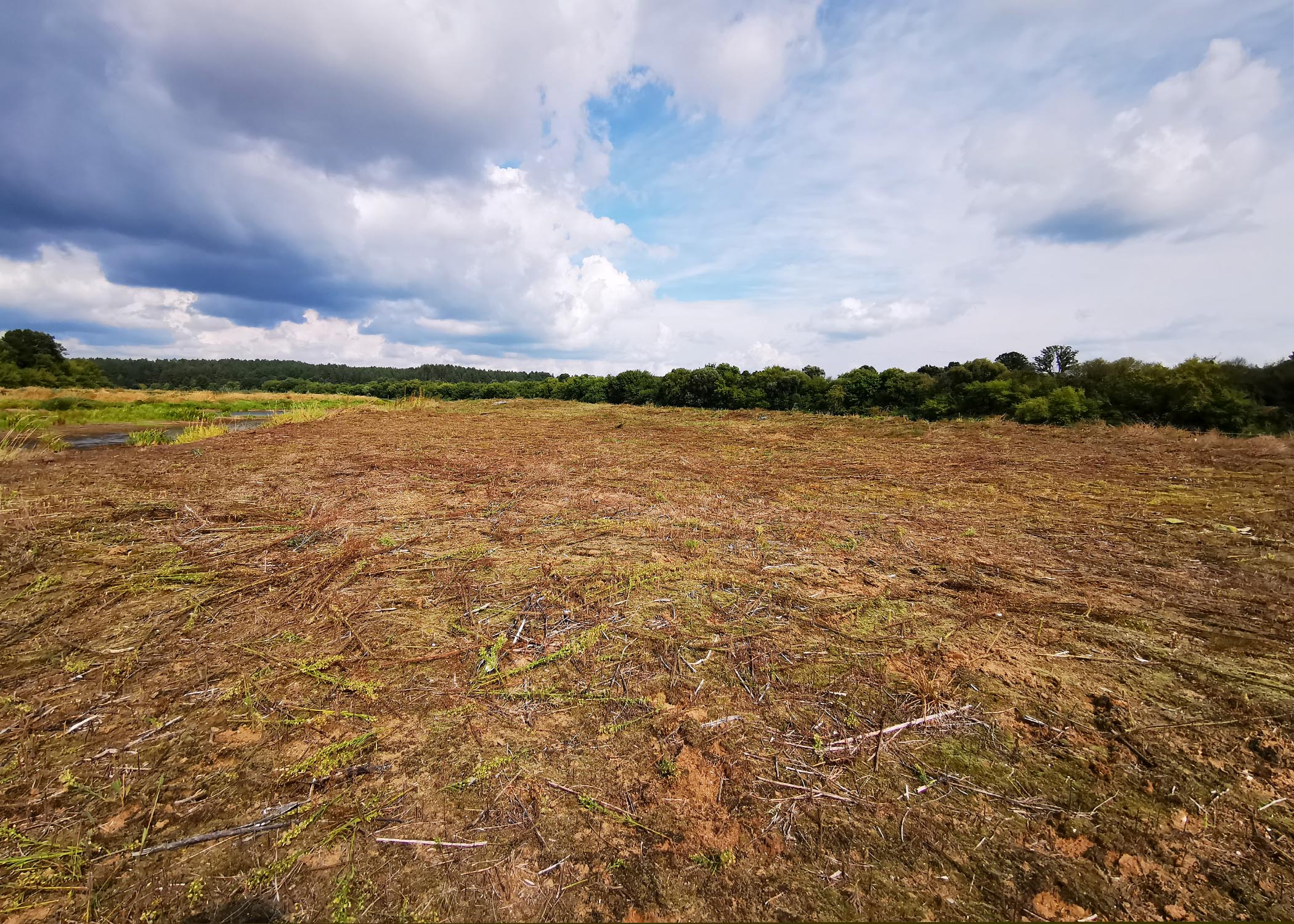 Foto po darbų_Gediminas  Petkus_website